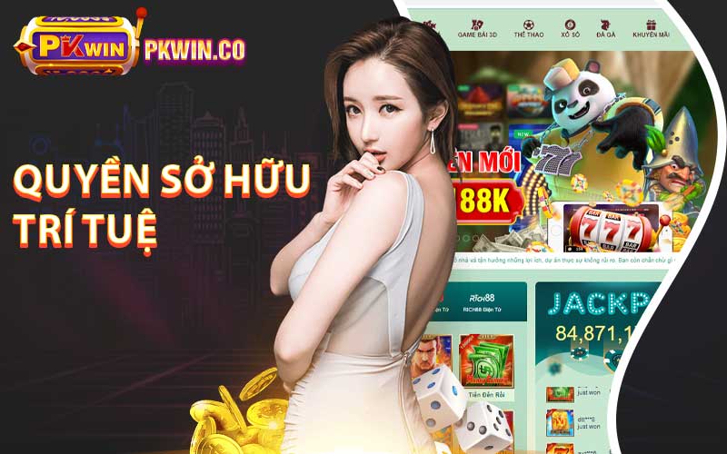 Quyền sở hữu trí tuệ